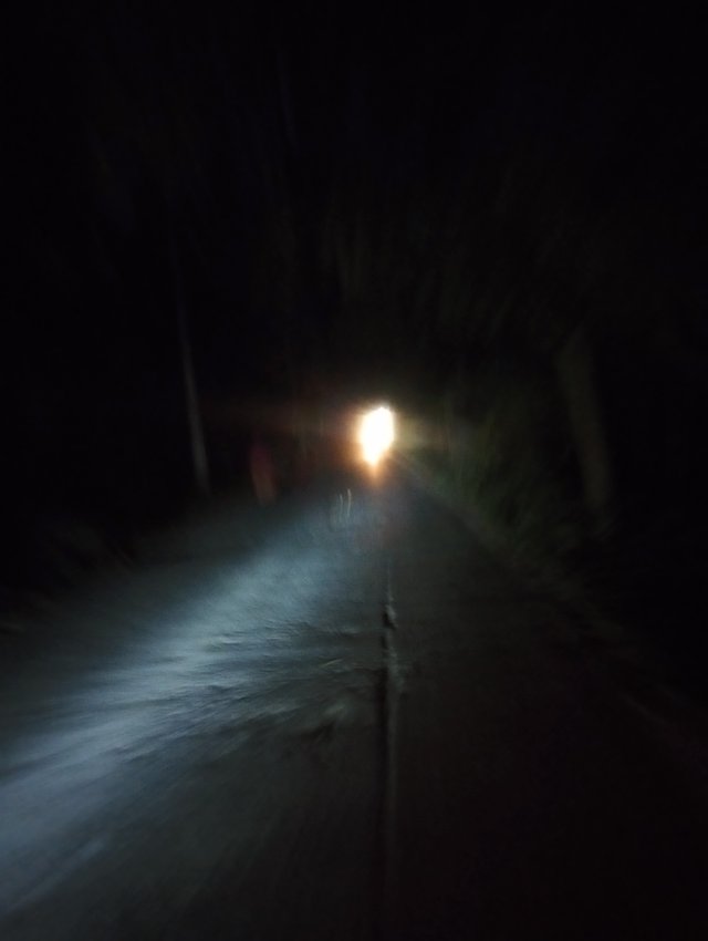 IMG_20250908_191631.jpg