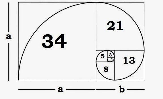 The Golden Ratio Spiral .jpg