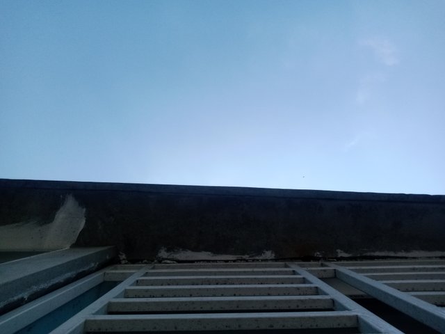 1000408559.jpg