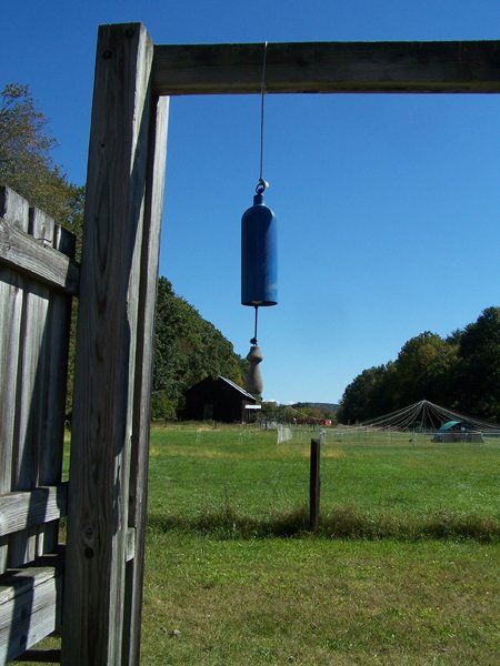 Windchimes9 crop September 2019.jpg