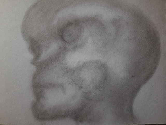 20250421_105348.jpg