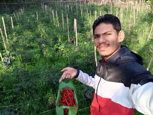IMG_20250920_164232_620.jpg