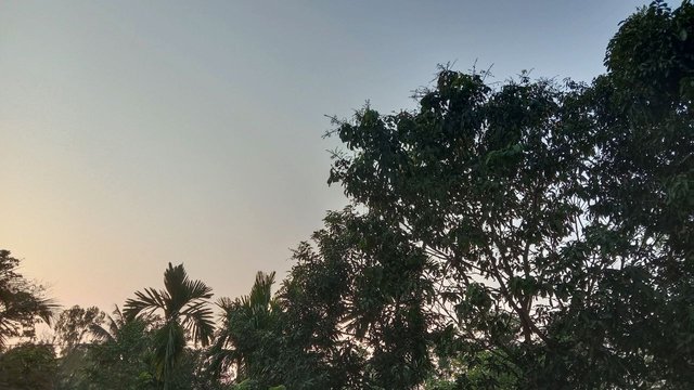 IMG_20250320_090716_994.jpg