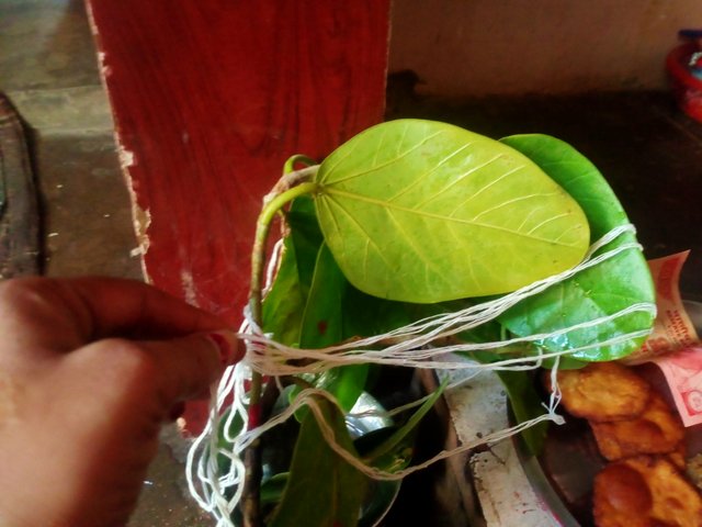IMG20250527092656.jpg