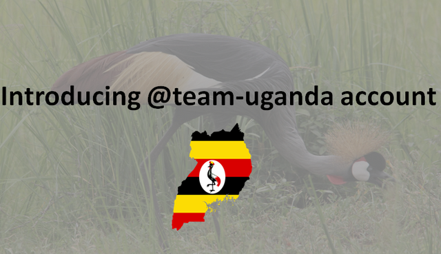 team-uganda account.png