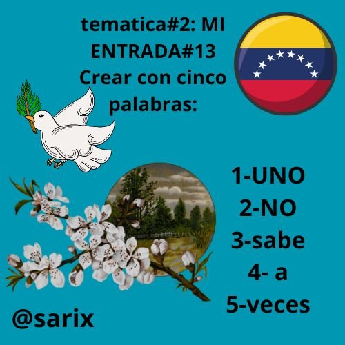 @sarix.jpg
