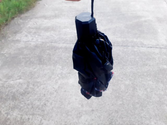 20250611_180109.jpg