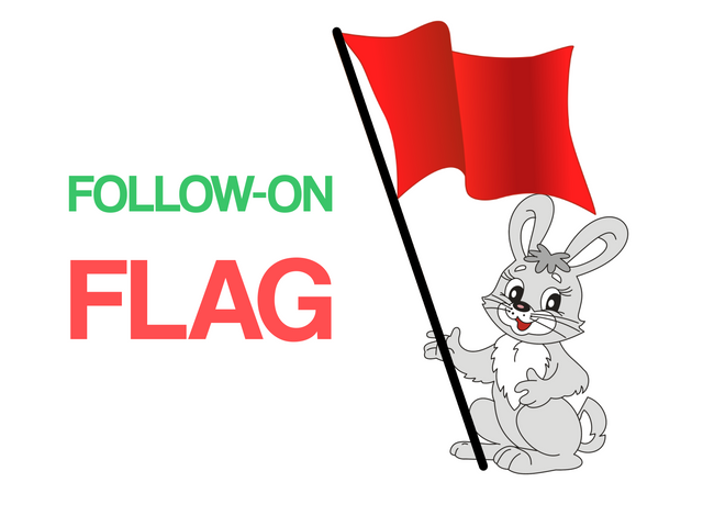 follow-on-flag.png