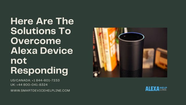 Here Are The Solutions To Overcome Alexa Device not Responding.jpg