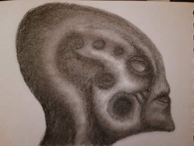 20250516_112553.jpg