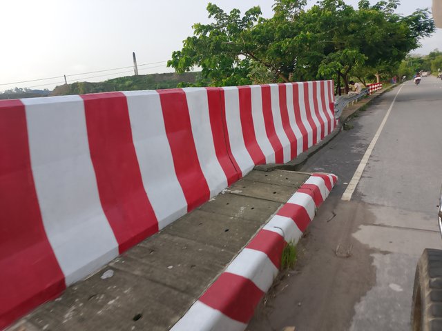 1000045080.jpg