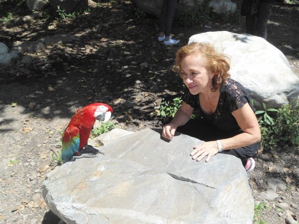 con la guacamaya.jpg