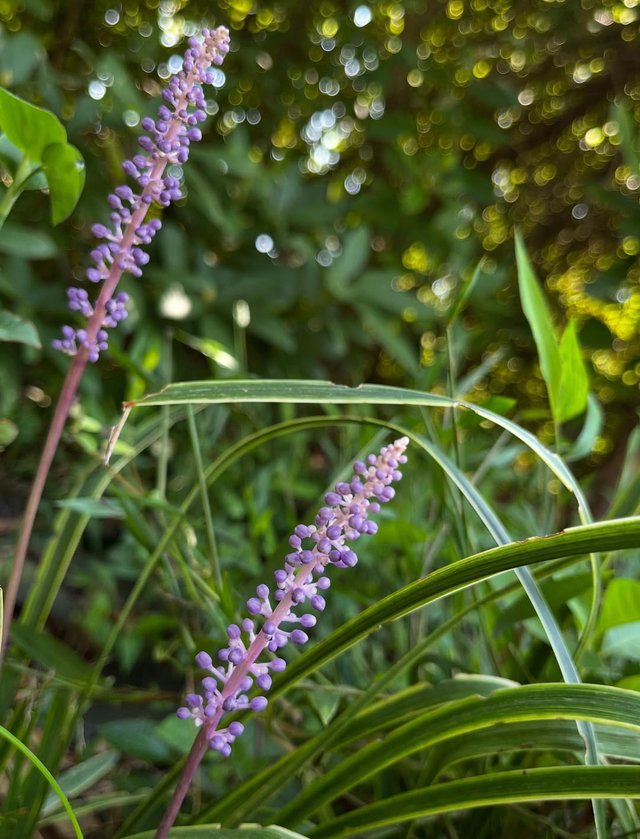 IMG_20250919_000359.jpg
