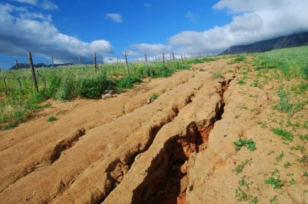 212087-679x450-Soil-erosion.jpg.cf.jpg