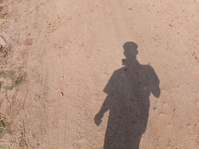 1000019836.jpg