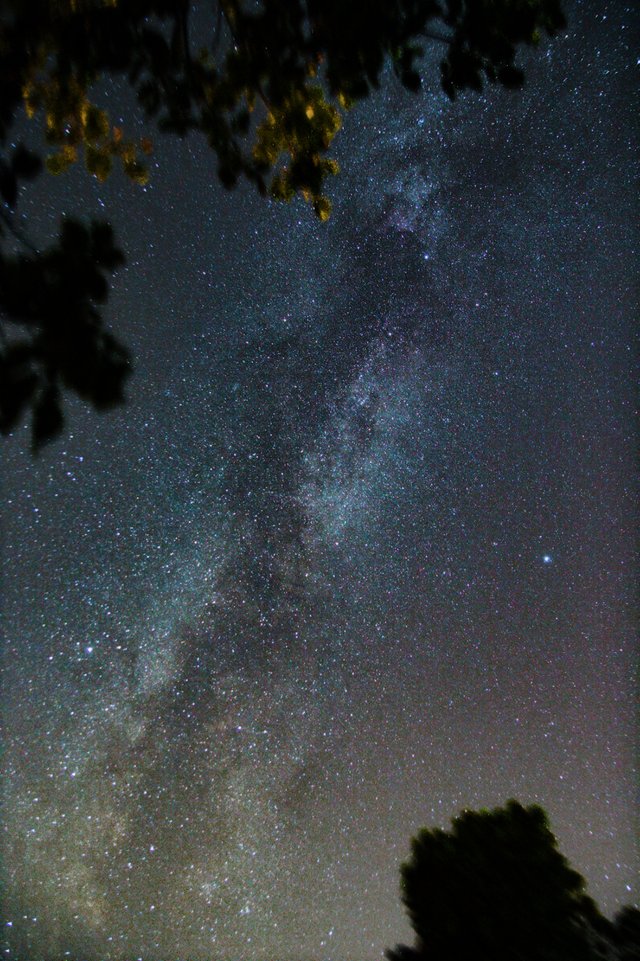 Milky 17mm.jpg