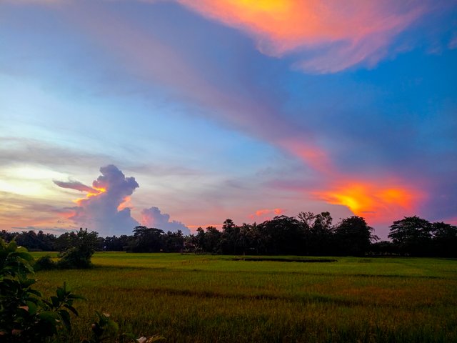 IMG20250614184938.jpg