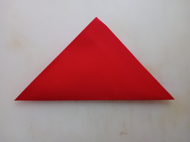 1000042531.jpg