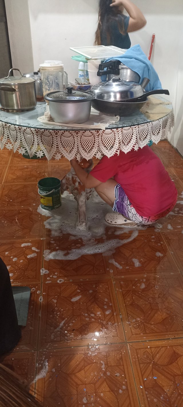 received_3622830804689177.jpeg