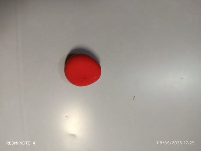r10.jpg