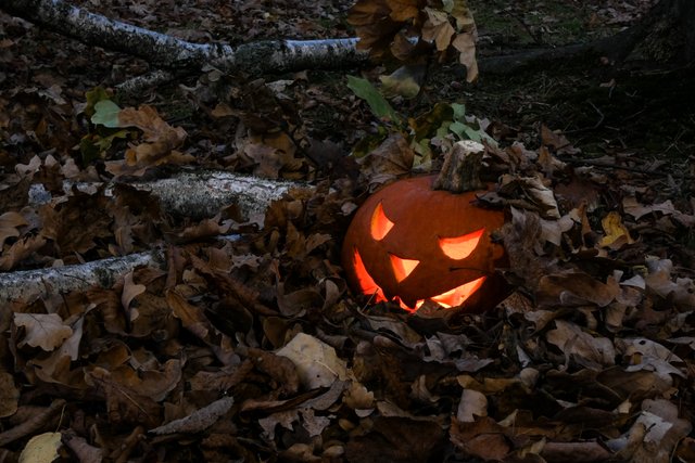 autumn-carved-creepy-1598181.jpg