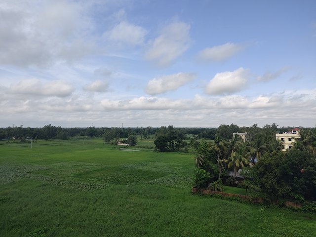 IMG_20250622_091051.jpg