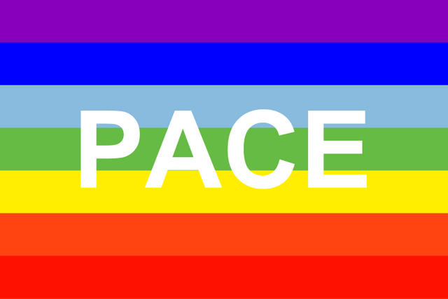 PACE-flag.png