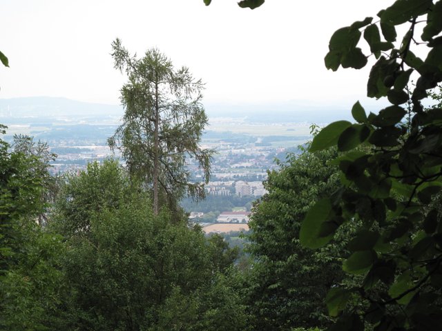 Gaisberg 2019 018.JPG