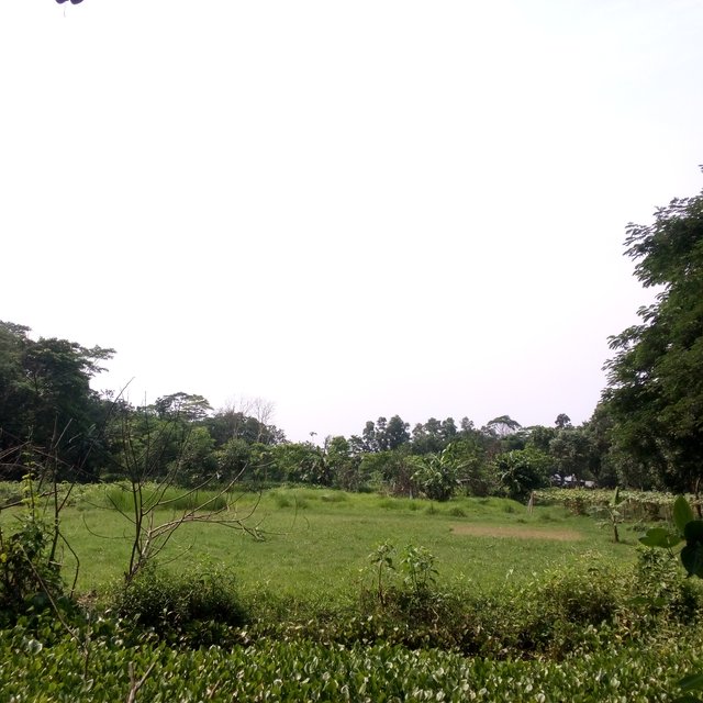 IMG_20250427_140802_352.jpg