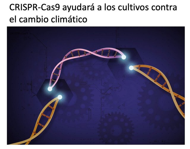 crispr.jpg