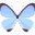 butterfly (4).png