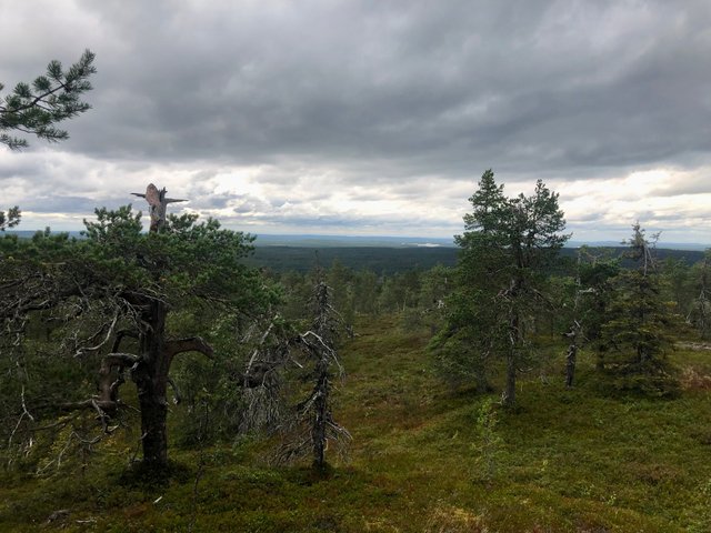 ausblick rtti.jpg