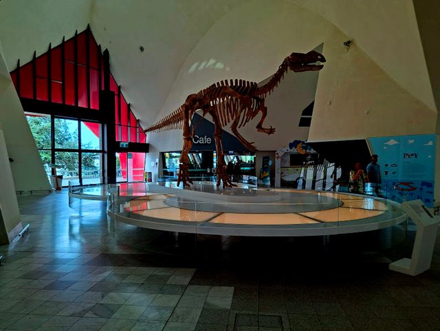 20251012_143537.jpg