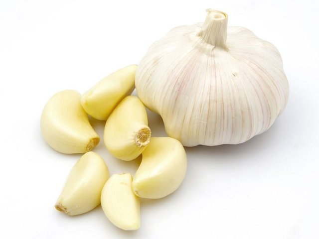 garlic-elsieisy-blog-health-benefits-of-garlic.jpg