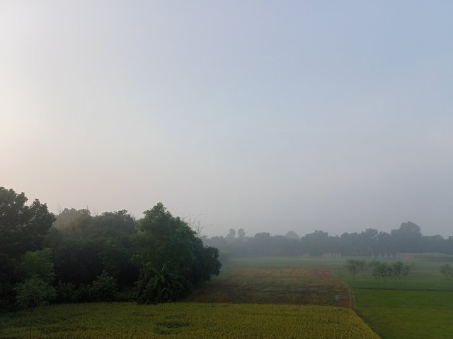 IMG20250901061928.jpg