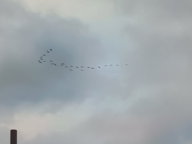 1000015198.jpg