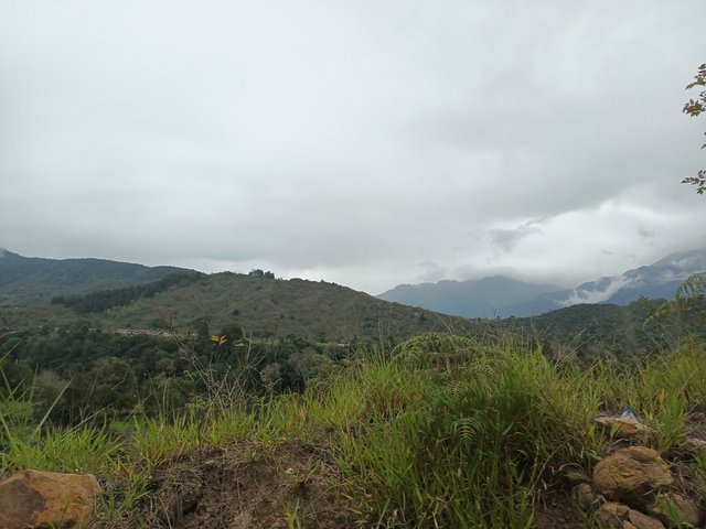 IMG_20250419_133531_088.jpg