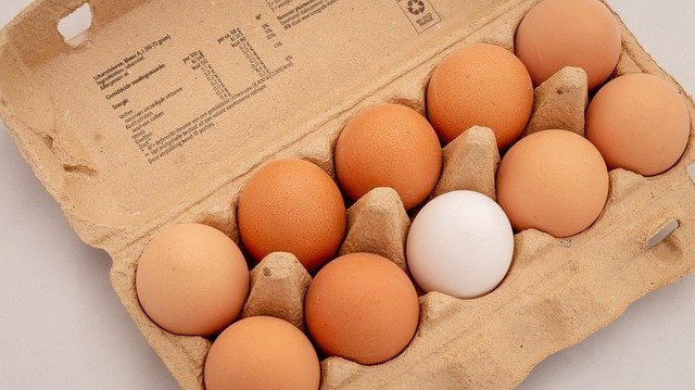 eggs-3446869_640.jpg