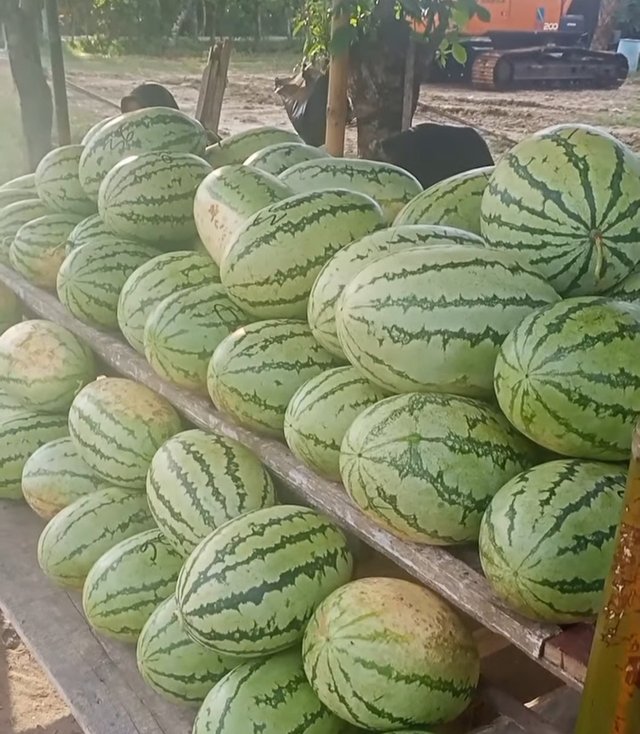 1747658315615.jpg