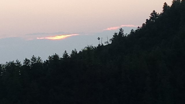 20250322_061329.jpg