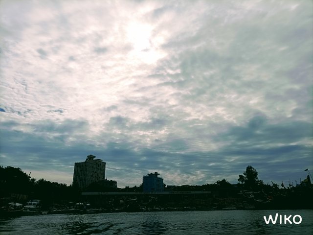 IMG_20241129_133753207.jpg