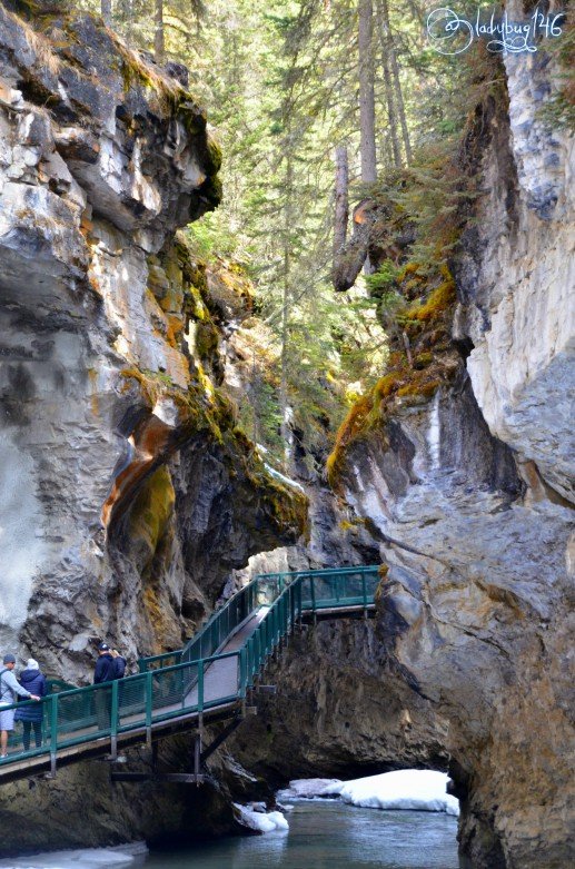 johnston_Canyon8.jpg