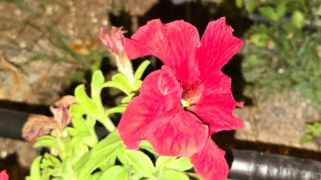 20250125_023224.jpg