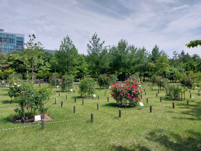 1000010951.jpg