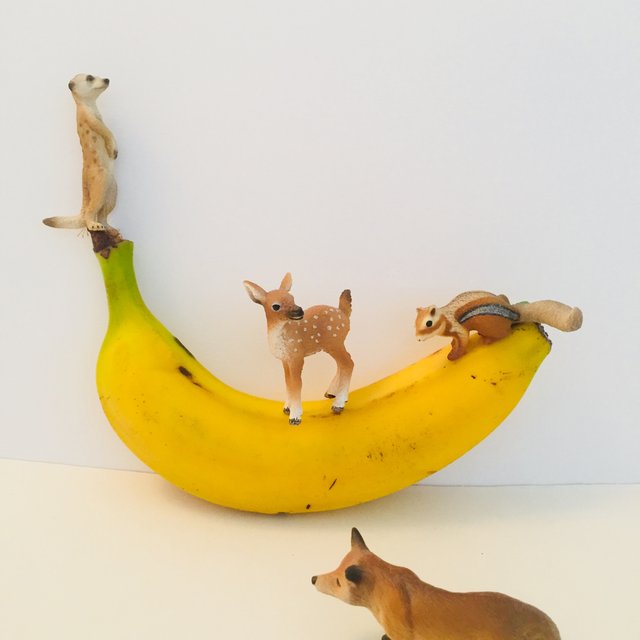 wild_animals_on_banana.jpg