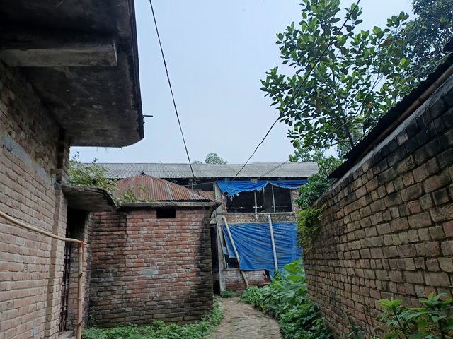 1000008340.jpg