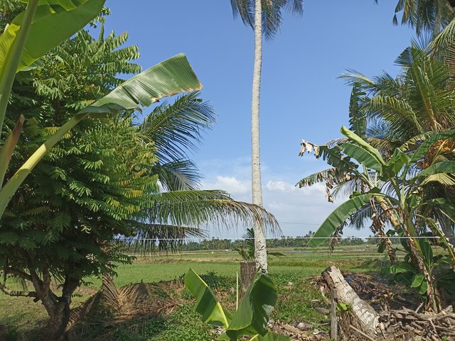 IMG_20250629_144654.jpg