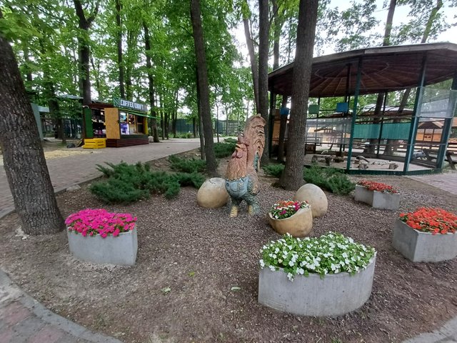 20250517_173126.jpg