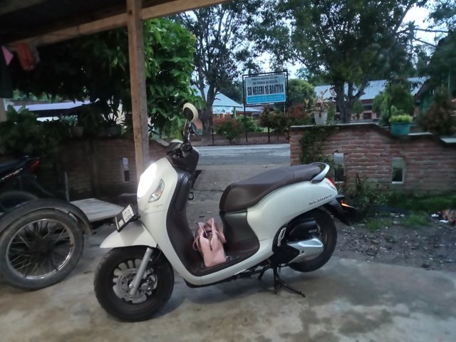 IMG20250312063301.jpg