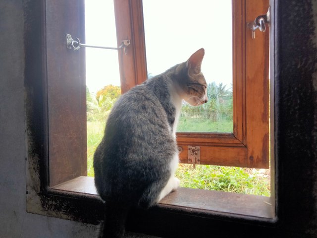 IMG20250703090703.jpg